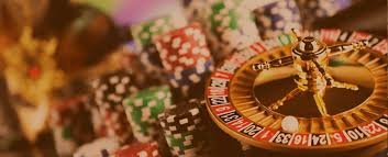 bingopus