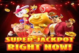 bingopus